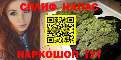 прущие грибы Можга