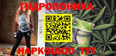 ешки Моздок