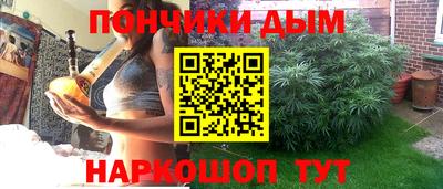прущие грибы Можга