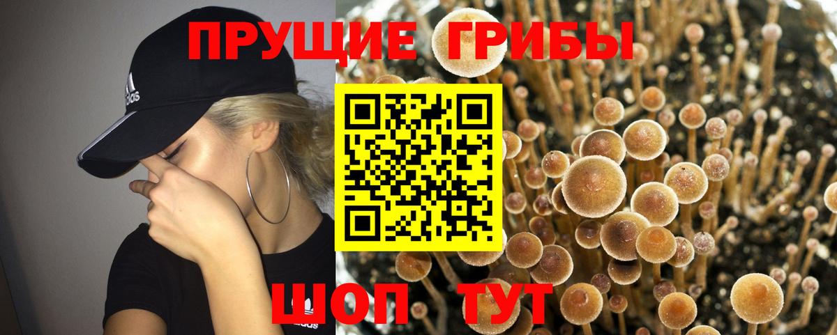 Псилоцибиновые грибы MAGIC MUSHROOMS  Вход с VPN  Верхняя Салда 